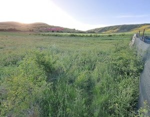 Terrain à louer dans Floresti