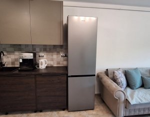 Appartement 2 chambres à louer dans Cluj-napoca, zone Zorilor