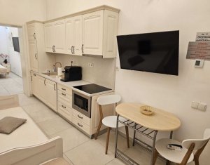 Apartment 2 rooms for rent in Cluj-napoca, zone Centru