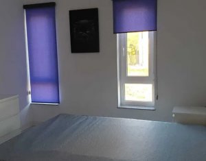 House 4 rooms for rent in Cluj-napoca, zone Borhanci