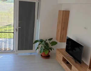 House 4 rooms for rent in Cluj-napoca, zone Borhanci