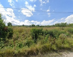 Land for rent in Cluj-napoca, zone Iris