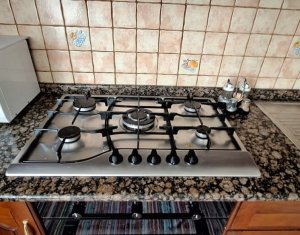 House 4 rooms for rent in Baciu