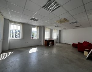 Industrial space for rent in Baciu