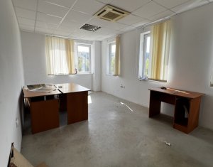 Industrial space for rent in Baciu