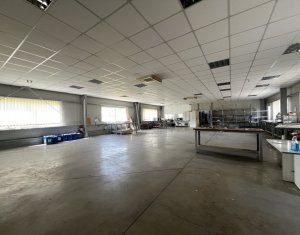 Industrial space for rent in Baciu