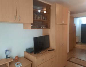 Apartment 2 rooms for rent in Cluj-napoca