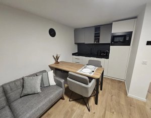 Apartment 2 rooms for rent in Cluj-napoca, zone Buna Ziua