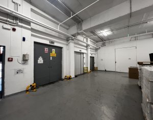 Industrial space for rent in Cluj-napoca, zone Someseni