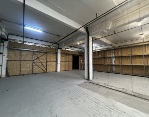 Industrial space for rent in Cluj-napoca, zone Someseni