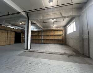 Industrial space for rent in Cluj-napoca, zone Someseni