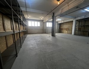 Industrial space for rent in Cluj-napoca, zone Someseni