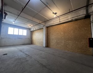 Industrial space for rent in Cluj-napoca, zone Someseni