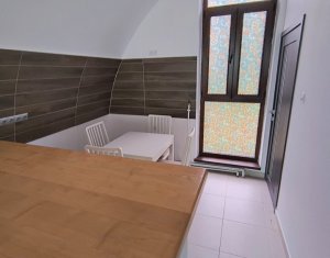 House 8 rooms for rent in Cluj-napoca, zone Grigorescu