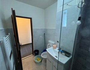 Appartement 3 chambres à louer dans Cluj-napoca, zone Gruia