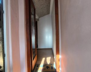 House 3 rooms for rent in Cluj-napoca, zone Centru