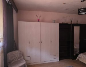 House 3 rooms for rent in Cluj-napoca, zone Centru