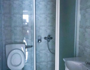 Apartment 1 rooms for rent in Cluj-napoca, zone Intre Lacuri