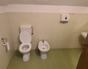 House 13 rooms for rent in Cluj-napoca, zone Intre Lacuri