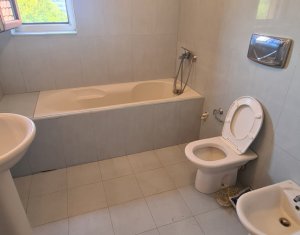 Maison 13 chambres à louer dans Cluj-napoca, zone Intre Lacuri