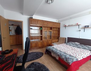 Apartment 1 rooms for rent in Cluj-napoca, zone Iris