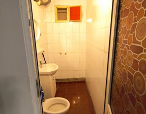 Apartment 2 rooms for rent in Cluj-napoca, zone Centru