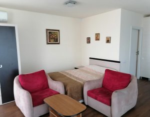 Apartment 1 rooms for rent in Cluj-napoca, zone Andrei Muresanu