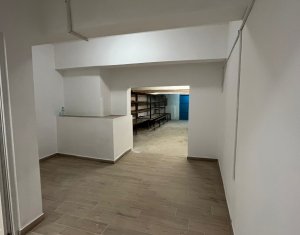 Commercial space for rent in Cluj-napoca, zone Iris