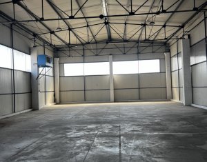 Industrial space for rent in Cluj-napoca, zone Someseni