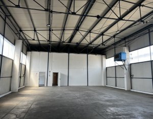 Espace Industriel à louer dans Cluj-napoca, zone Someseni