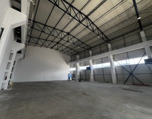 Industrial space for rent in Cluj-napoca, zone Someseni