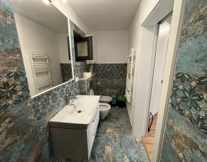 House 5 rooms for rent in Cluj-napoca, zone Dambul Rotund