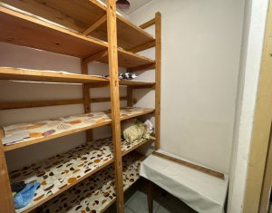 Appartement 3 chambres à louer dans Cluj-napoca, zone Dambul Rotund