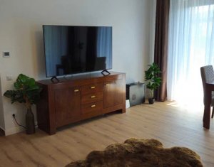 Apartment 2 rooms for rent in Cluj-napoca, zone Buna Ziua