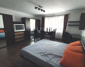 Apartament cu o camera, complet dotat, strada Stejarului