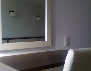 Apartment 2 rooms for rent in Cluj-napoca, zone Plopilor