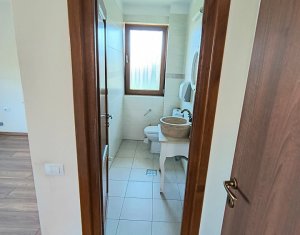 House 6 rooms for rent in Cluj-napoca, zone Andrei Muresanu