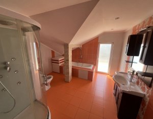 Appartement 4 chambres à louer dans Cluj-napoca, zone Borhanci