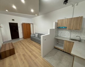 Apartament cu 2 camere, Dambul Rotund, zona Lidl!