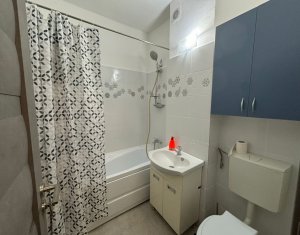 Appartement 2 chambres à louer dans Cluj-napoca, zone Dambul Rotund