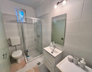 Maison 1 chambres à louer dans Cluj-napoca, zone Centru