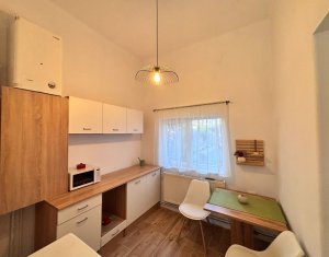 Maison 1 chambres à louer dans Cluj-napoca, zone Centru