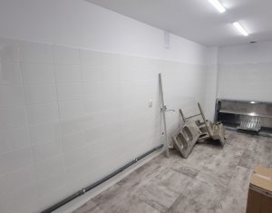 Espace Commercial à louer dans Cluj-napoca, zone Centru