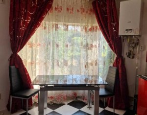 Apartment 1 rooms for rent in Cluj-napoca, zone Dambul Rotund