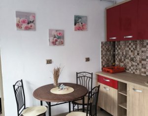 Maison 2 chambres à louer dans Cluj-napoca, zone Zorilor