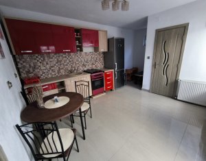 Maison 2 chambres à louer dans Cluj-napoca, zone Zorilor