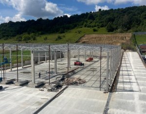 Espace Industriel à louer dans Baciu