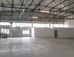 Espace Industriel à louer dans Cluj-napoca, zone Someseni