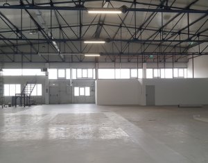 Espace Industriel à louer dans Cluj-napoca, zone Someseni