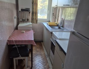 Appartement 2 chambres à louer dans Cluj-napoca, zone Manastur